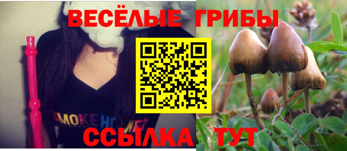 Владимир  Галлюциногенные грибы мицелий  Вход с VPN 